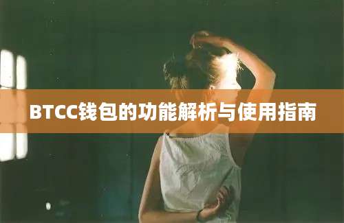 BTCC钱包的功能解析与使用指南