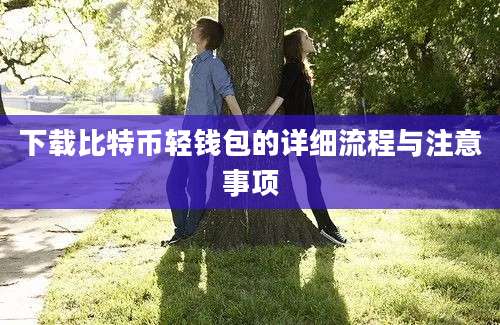 下载比特币轻钱包的详细流程与注意事项