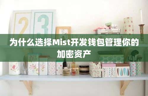 为什么选择Mist开发钱包管理你的加密资产