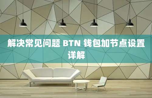 解决常见问题 BTN 钱包加节点设置详解