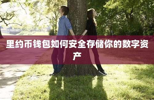 里约币钱包如何安全存储你的数字资产