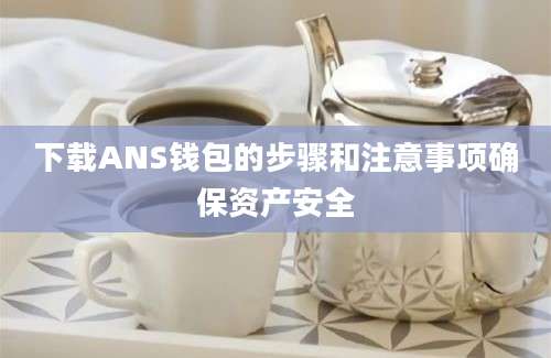 下载ANS钱包的步骤和注意事项确保资产安全
