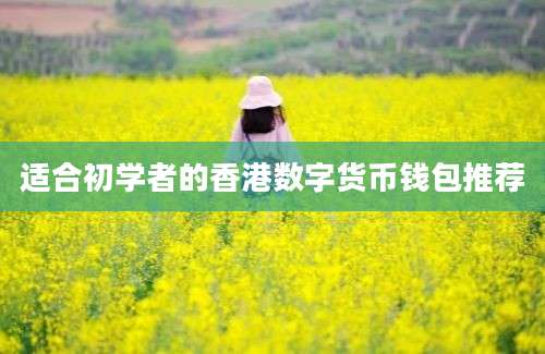 适合初学者的香港数字货币钱包推荐