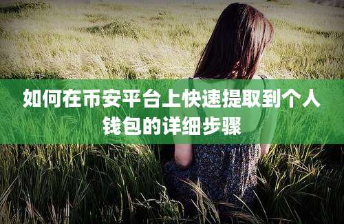 如何在币安平台上快速提取到个人钱包的详细步骤