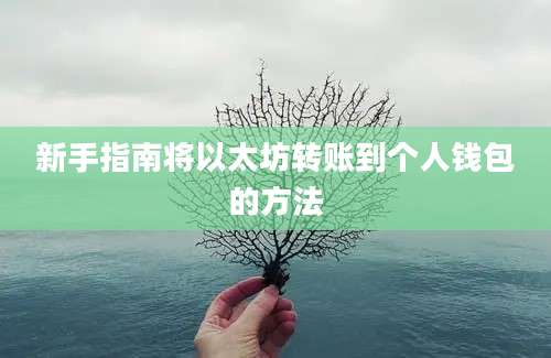 新手指南将以太坊转账到个人钱包的方法