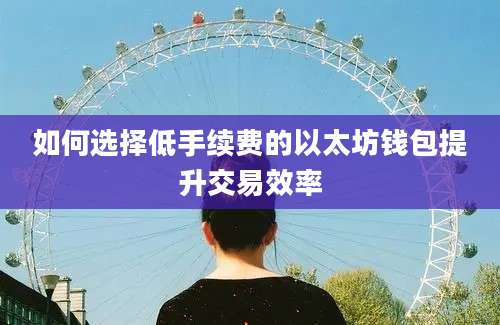如何选择低手续费的以太坊钱包提升交易效率