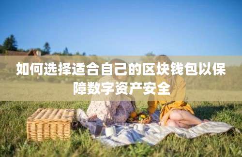 如何选择适合自己的区块钱包以保障数字资产安全