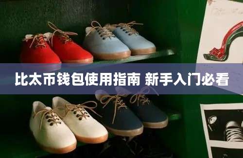 比太币钱包使用指南 新手入门必看