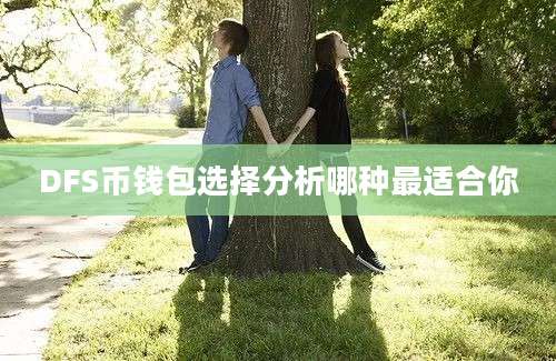 DFS币钱包选择分析哪种最适合你