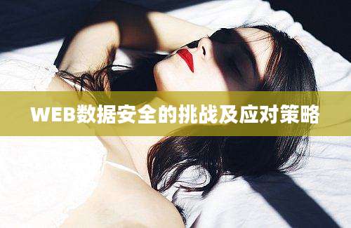 WEB数据安全的挑战及应对策略