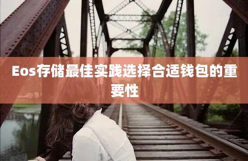 Eos存储最佳实践选择合适钱包的重要性