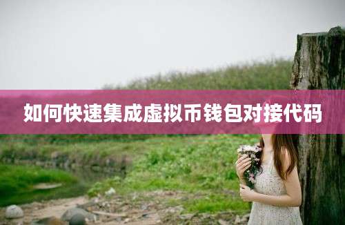 如何快速集成虚拟币钱包对接代码