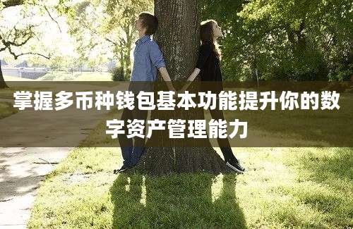 掌握多币种钱包基本功能提升你的数字资产管理能力