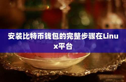 安装比特币钱包的完整步骤在Linux平台