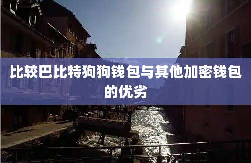 比较巴比特狗狗钱包与其他加密钱包的优劣
