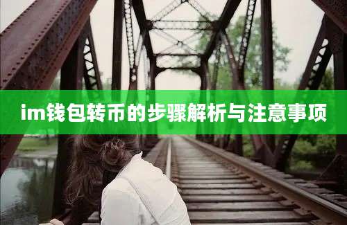 im钱包转币的步骤解析与注意事项