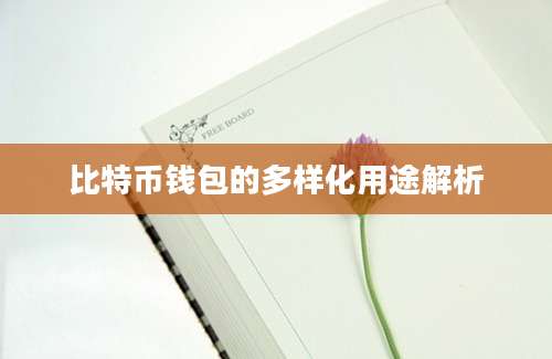 比特币钱包的多样化用途解析