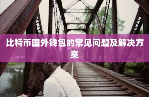 比特币国外钱包的常见问题及解决方案