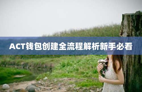 ACT钱包创建全流程解析新手必看