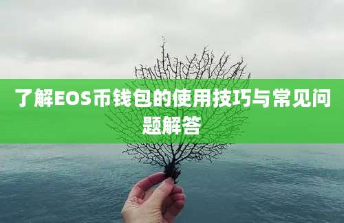 了解EOS币钱包的使用技巧与常见问题解答