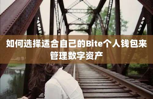 如何选择适合自己的Bite个人钱包来管理数字资产