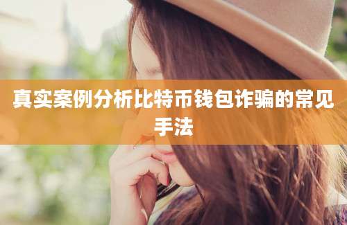 真实案例分析比特币钱包诈骗的常见手法