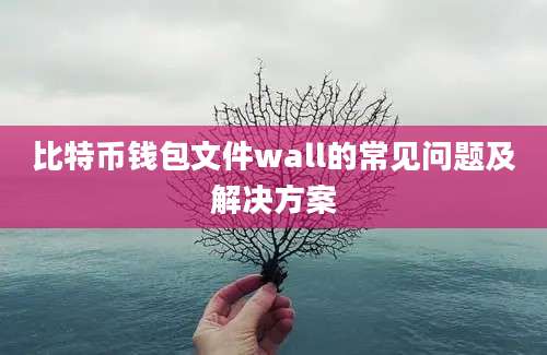比特币钱包文件wall的常见问题及解决方案