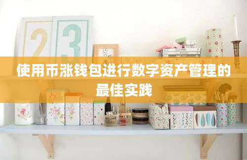 使用币涨钱包进行数字资产管理的最佳实践