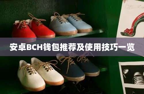 安卓BCH钱包推荐及使用技巧一览