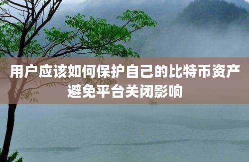 用户应该如何保护自己的比特币资产避免平台关闭影响