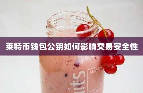 莱特币钱包公钥如何影响交易安全性