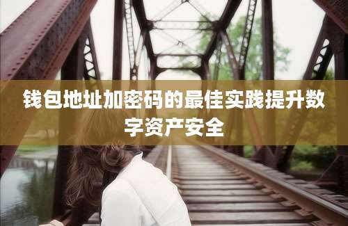 钱包地址加密码的最佳实践提升数字资产安全