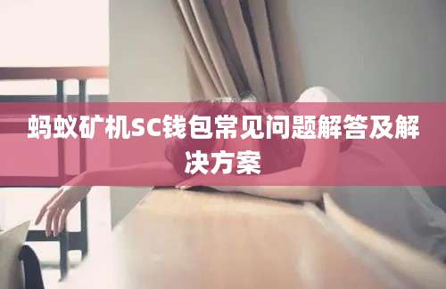 蚂蚁矿机SC钱包常见问题解答及解决方案