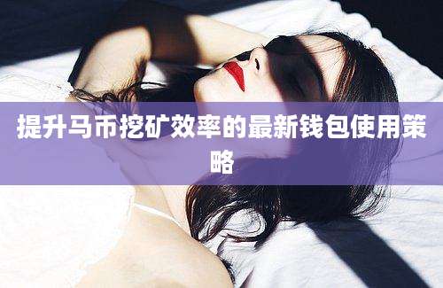 提升马币挖矿效率的最新钱包使用策略