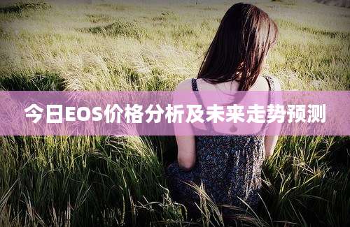 今日EOS价格分析及未来走势预测