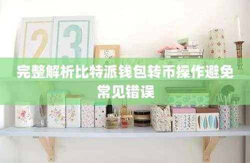 完整解析比特派钱包转币操作避免常见错误