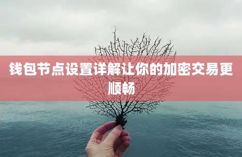 钱包节点设置详解让你的加密交易更顺畅
