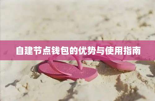 自建节点钱包的优势与使用指南