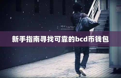 新手指南寻找可靠的bcd币钱包