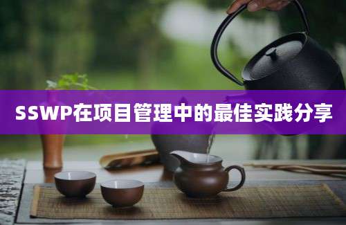 SSWP在项目管理中的最佳实践分享