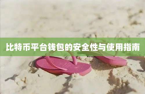 比特币平台钱包的安全性与使用指南