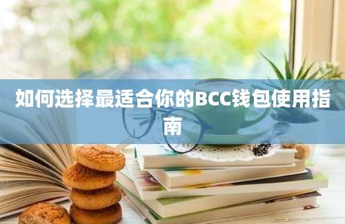 如何选择最适合你的BCC钱包使用指南
