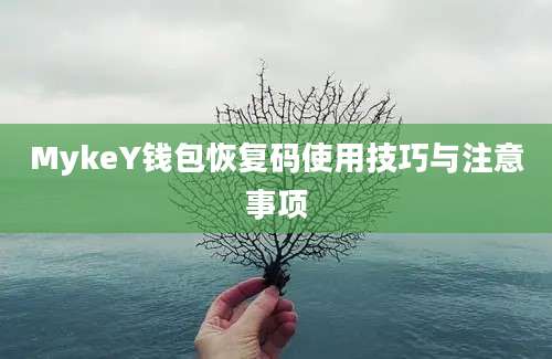 MykeY钱包恢复码使用技巧与注意事项