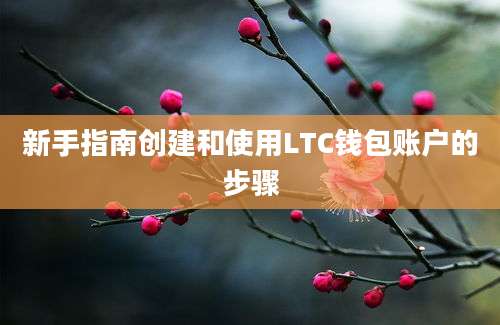 新手指南创建和使用LTC钱包账户的步骤