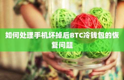 如何处理手机坏掉后BTC冷钱包的恢复问题