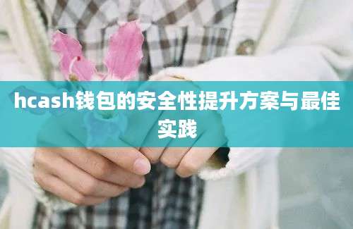 hcash钱包的安全性提升方案与最佳实践
