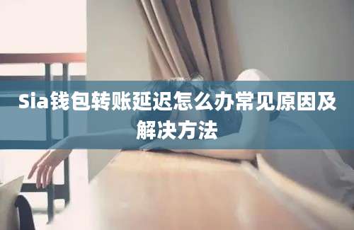 Sia钱包转账延迟怎么办常见原因及解决方法