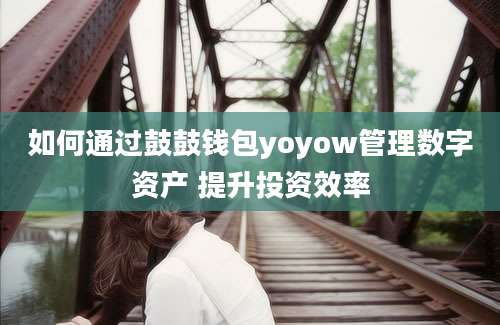 如何通过鼓鼓钱包yoyow管理数字资产 提升投资效率