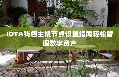 IOTA钱包主机节点设置指南轻松管理数字资产