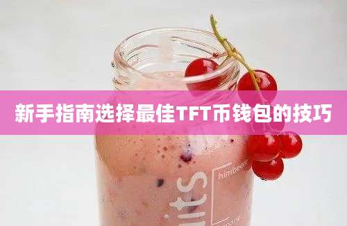 新手指南选择最佳TFT币钱包的技巧